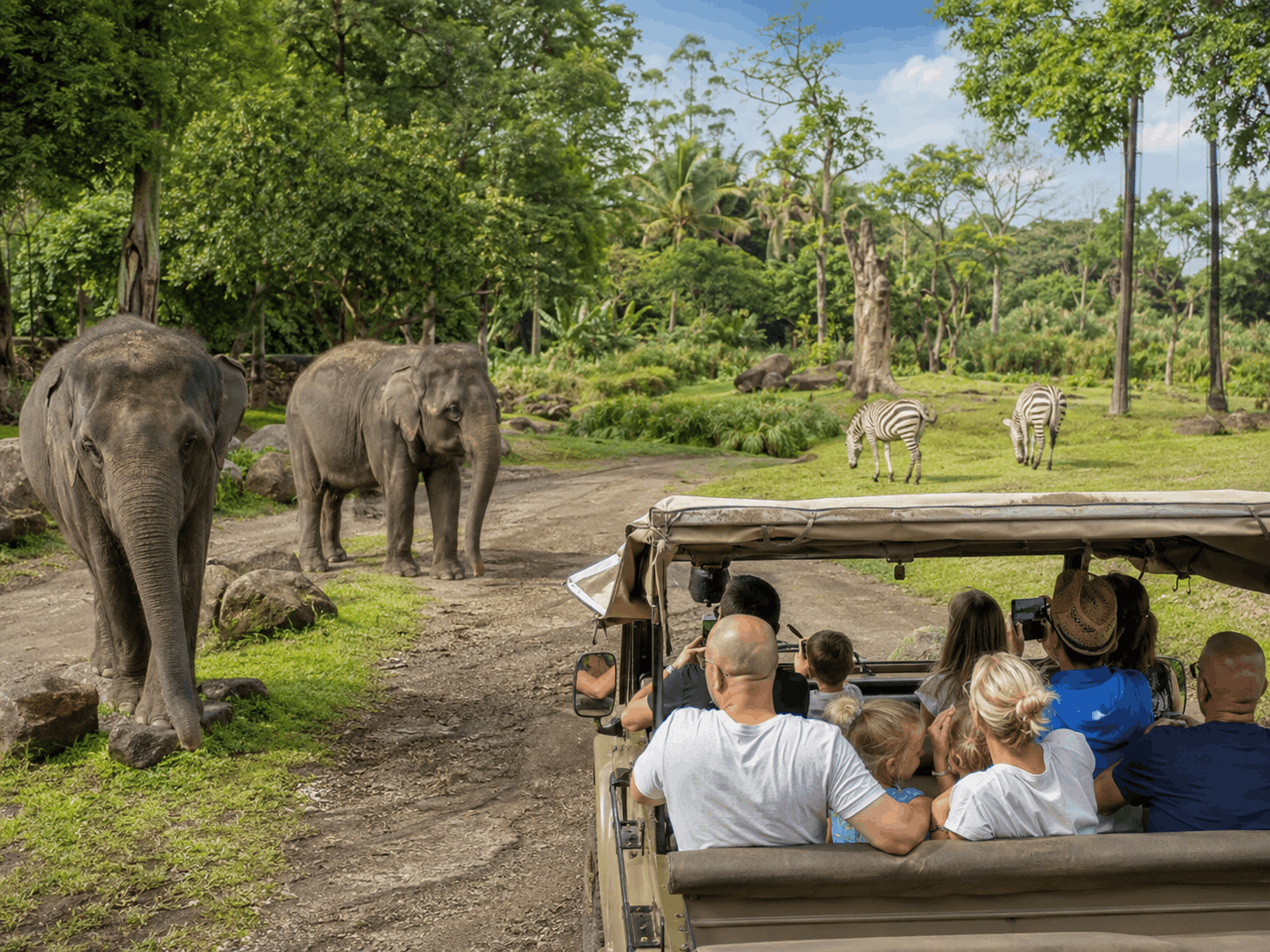 Bali Safari Tour - Bali tour package photo